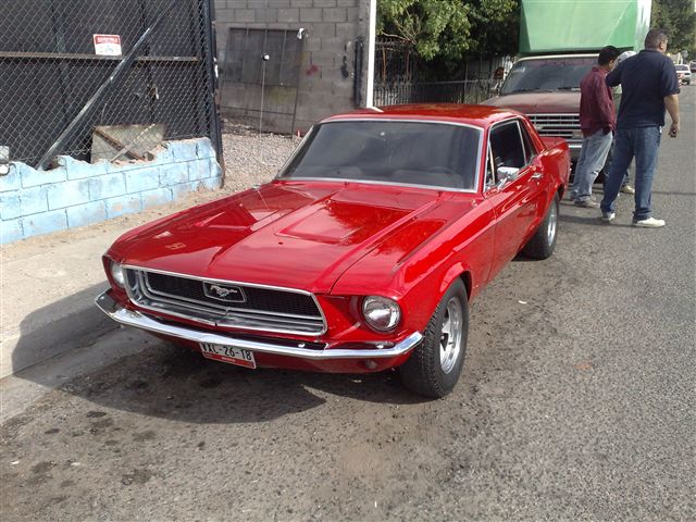 mustang 68 charly