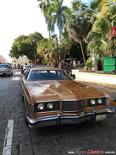 Ford COUNTRY SQUIRE Vagoneta 1974